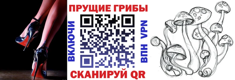 Псилоцибиновые грибы прущие грибы Железногорск