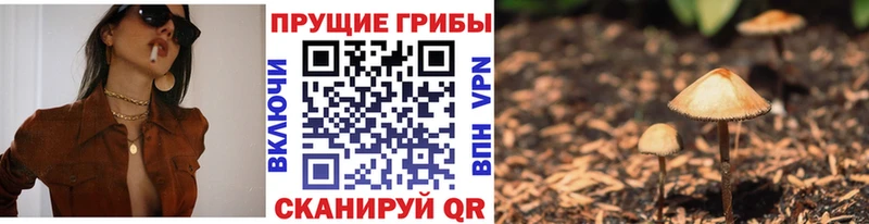 Псилоцибиновые грибы мухоморы  kraken ТОР  Железногорск 