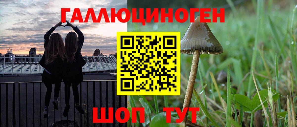 Псилоцибиновые грибы Psilocybe Железногорск