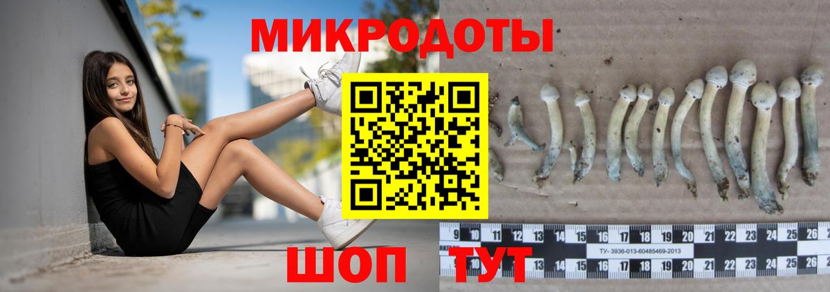 Псилоцибиновые грибы Magic Shrooms  Вход с VPN  Галлюциногенные грибы MAGIC MUSHROOMS  Железногорск 